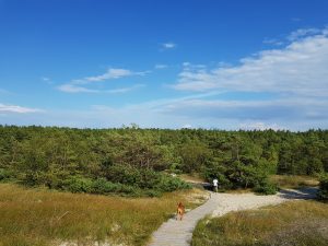 Minicamper Tour zur Ostsee Kurische Nehrung by Birgit Strauch