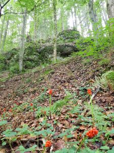 Minicamper Tour zum finsteren Loch bei Stützerbach im Thüringer Wald by Birgit Strauch