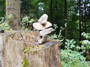 Minicamper Tour zum Herz-Nerven-Weg in Frauenwald by Birgit Strauch