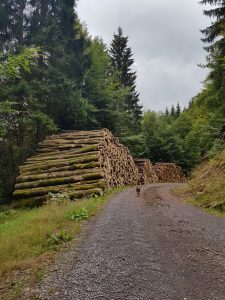 Minicamper Tour nach Frauenwald im Thüringer Wald by Birgit Strauch