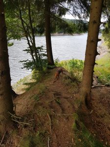 Minicamper Tour nach Frauenwald im Thüringer Wald by Birgit Strauch