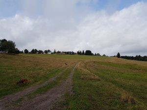 Minicamper Tour nach Frauenwald by Birgit Strauch