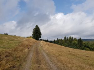 Minicamper Tour nach Frauenwald by Birgit Strauch