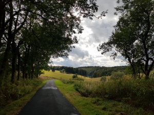 Minicamper Stellplatz im Thüringer Wald bei Frauenwald by Birgit Strauch