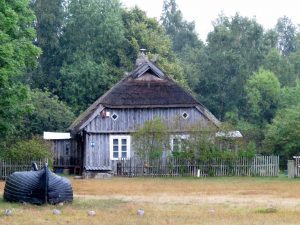 Minicamper Tour nach Lettland Koni in Pape Naturschutzgebiet by Birgit Strauch