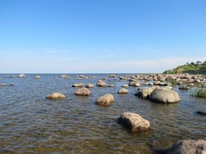 Minicamper Tour zum Strand bei Mersrags Lettland by Birgit Strauch
