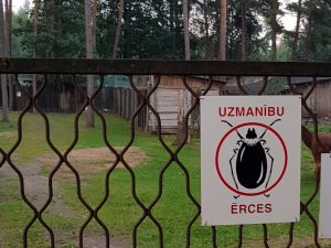 Mit dem Minicamper nach Kekavas Camping und Zoo bei Riga by Birgit Strauch