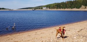 Český Jiřetín & Flaje Stausee Tschechien mit dem Minicamper by Birgit Strauch