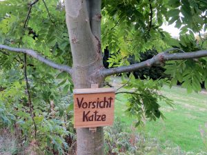 Wanderung zum Katzenstein im Schwarzwassertal im Erzgebirge by Birgit Strauch