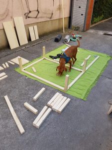 Dacia Dokker Minicamper Ausbau by Birgit Strauch