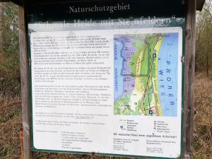 Minicamper Tour zu den Feuersteinfeldern auf Rügen by Birgit Strauch