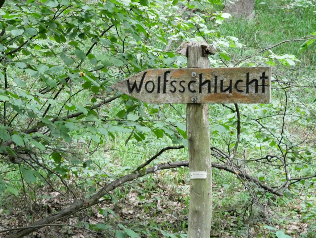 Märkische Schweiz Wolfsschlucht by Birgit Strauch