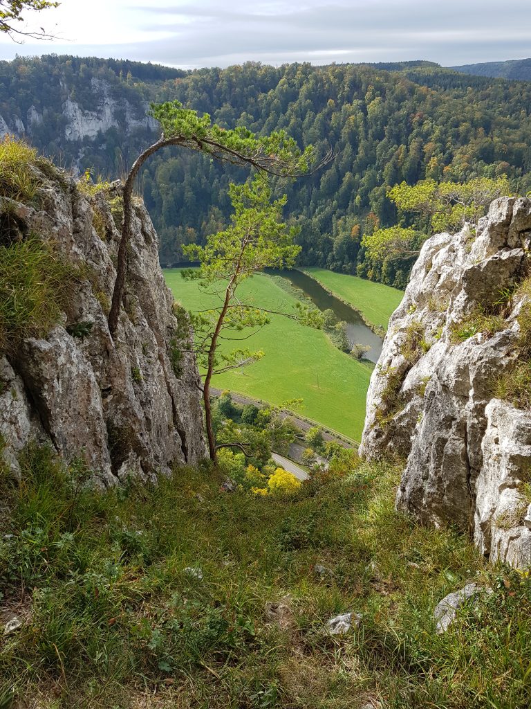Wanderung zum Mühlenfelsen im Donautal by Birgit Strauch