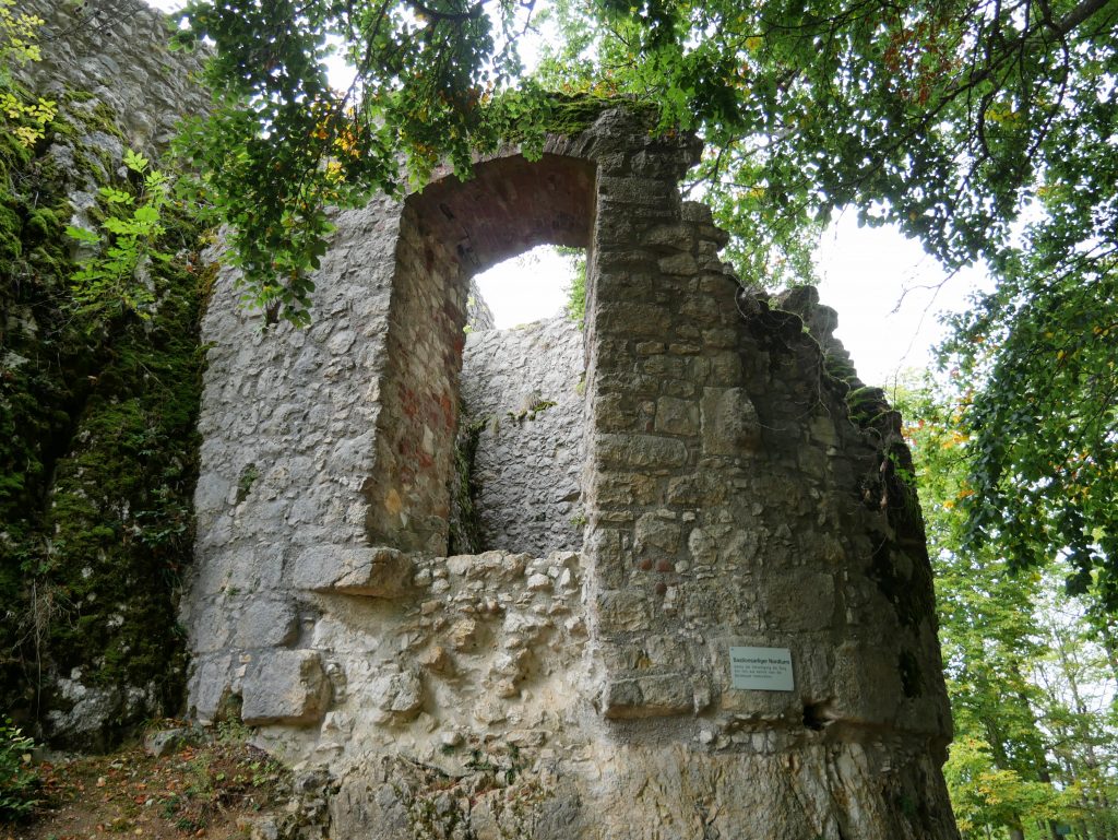 Ruine Falkenstein im Donautal by Birgit Strauch