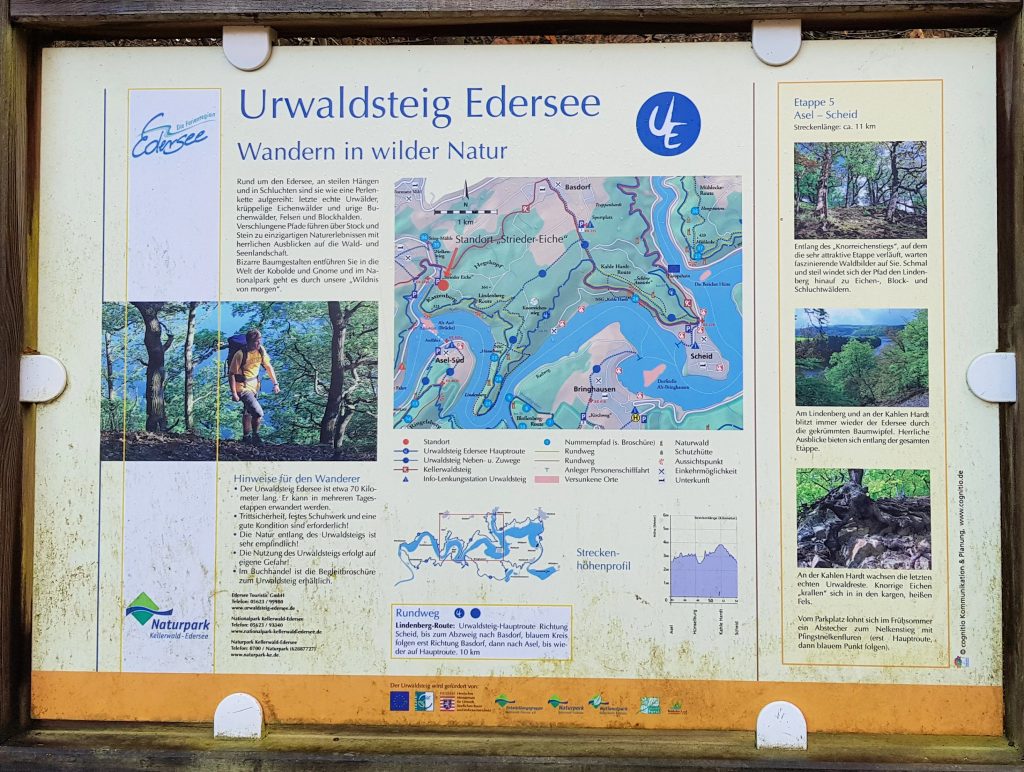 Wanderparkplatz Wildcamping Edersee