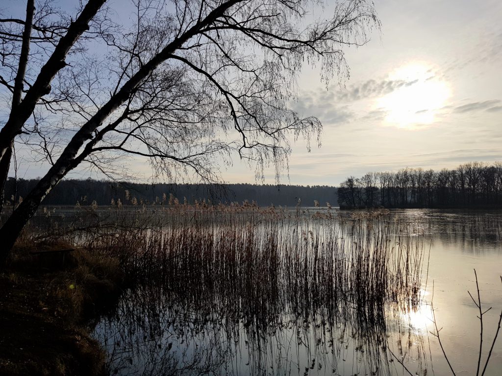 Wanderung um den Oderiner See by Birgit Strauch