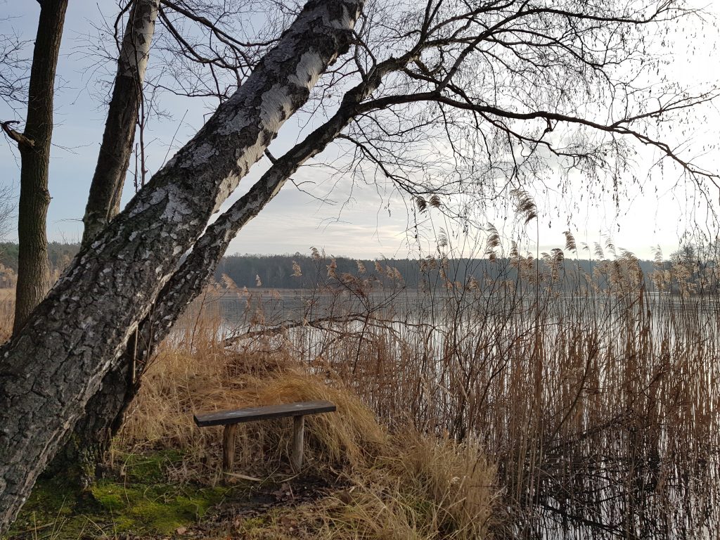 Wanderung um den Oderiner See by Birgit Strauch